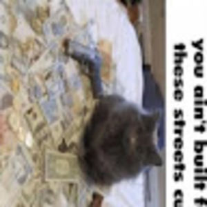 Meet your Posher, Roman